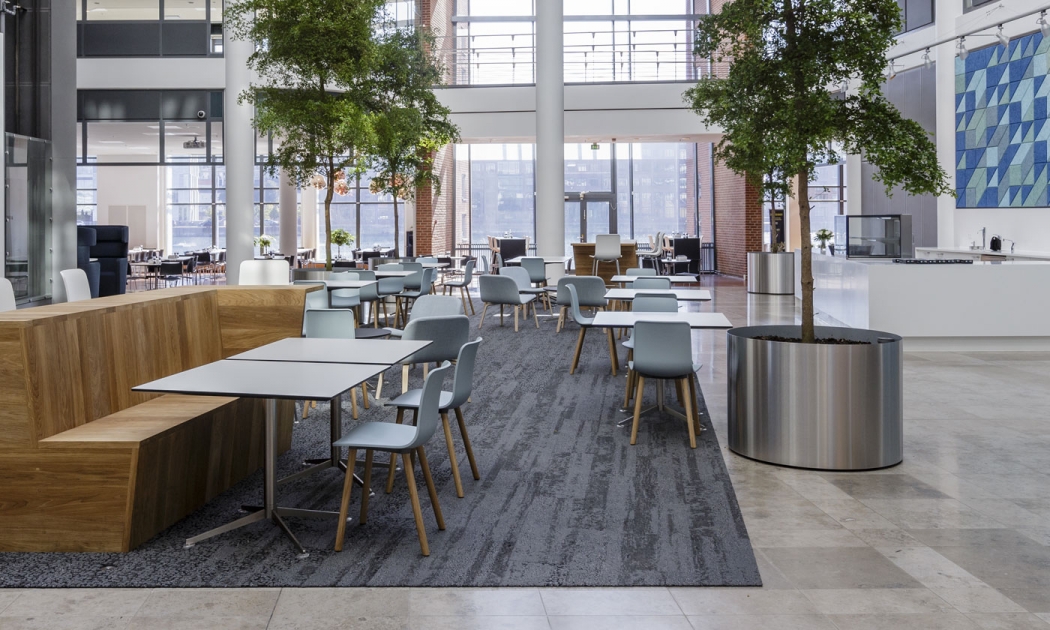 华体会体育官方在线官网 - 坐具|餐椅|办公家具|华体会体育官方在线官网家具|哈尔餐椅